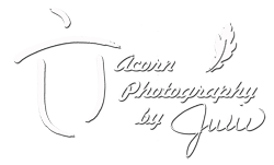 Acorn Photography by Julie